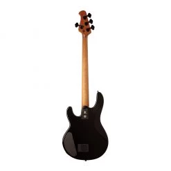 Ernie Ball Music Man - Stingray - Dark Ray Bass Guitars