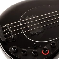 Ernie Ball Music Man - Stingray - Dark Ray Bass Guitars