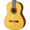 Yamaha CG182S Classical Guitar Classical Guitars