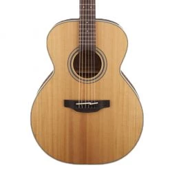 Acoustic Guitars Takamine NEX Acoustic - Natural