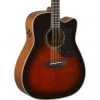 Yamaha A3M ARE - Brown Sunburst Acoustic Guitars