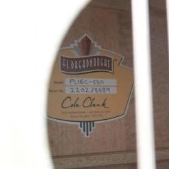 Acoustic Guitars Cole Clark - FL1 Dreadnought - All Southern Silky Oak