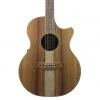 Acoustic Guitars Cole Clark - AN2 Grand Auditorium - All Blackwood