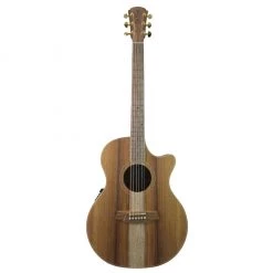 Acoustic Guitars Cole Clark - AN2 Grand Auditorium - All Blackwood