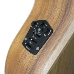 Acoustic Guitars Cole Clark - AN2 Grand Auditorium - All Blackwood