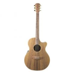 Acoustic Guitars Cole Clark - Grand Auditorium - CCAN2EC-BLBL - Australian Blackwood