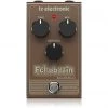 TC Electronic Echobrain Analogue Delay