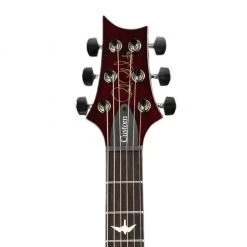 PRS S2 Custom 24 - Fire Red Burst