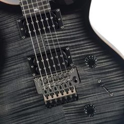 Electric Guitars PRS SE Custom 24 Floyd Rose - Charcoal Burst