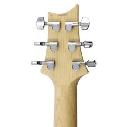 PRS - CE24 Semi Hollow Electric Guitar - Eriza Verde