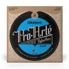 See All D'Addario - EJ46 - Pro-Arte Nylon Strings - Hard Tension