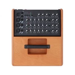 ACUS One Forstrings Cremona - Wood 200 Watt Acoustic And Violin Amp Acoustic Guitar Amps