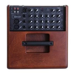 Acus One Forstrings 6T Simon - Wood 130W Acoustic Guitar Amp Acoustic Guitar Amps