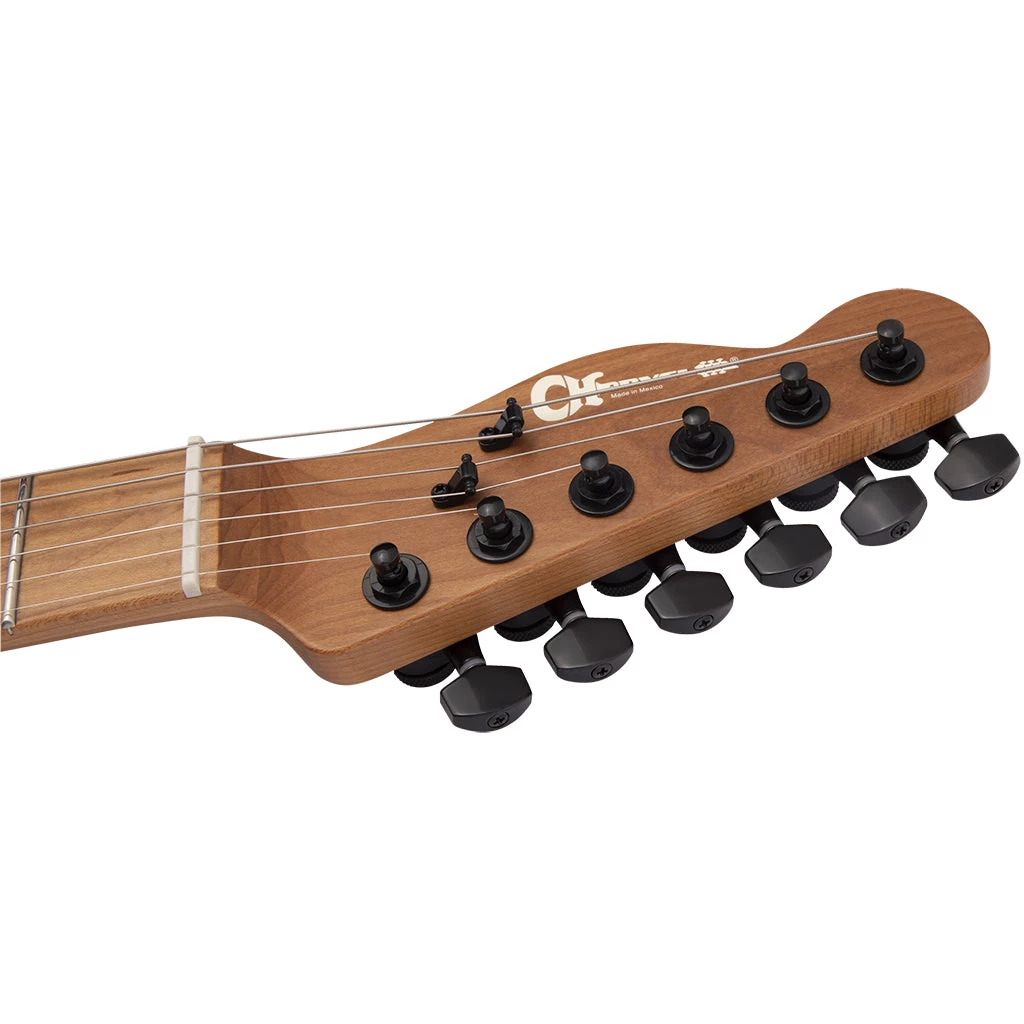 Electric Guitars Charvel Pro-Mod So-Cal Style 2 - Black Ash - Caramelised Maple