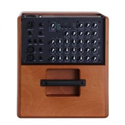 Acus One Forstrings 8 - Wood 200W Acoustic Guitar Amp