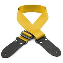 DSL SB20-GOLD Strap 2" Seatbelt Webbing Gold See All
