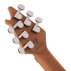 Electric Guitars EVH - Wolfgang Standard Quilted Maple, Baked Maple Fingerboard - Northern Lights