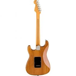 Electric Guitars Fender - American Professional II Stratocaster® - Rosewood Fingerboard - Roasted Pine