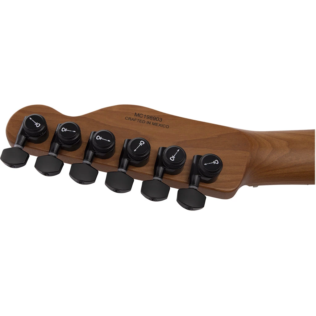 Electric Guitars Charvel Pro-Mod So-Cal Style 2 - Black Ash - Caramelised Maple