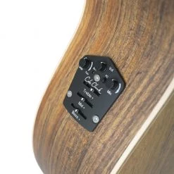 Acoustic Guitars Cole Clark - Grand Auditorium - CCAN2EC-BLBL - Australian Blackwood