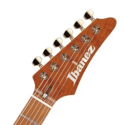 Electric Guitars Ibanez - LB1 Lari Basilio Signature Model Electric Guitar - Violet