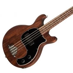 Gibson Les Paul Junior Tribute DC Bass - Worn Brown