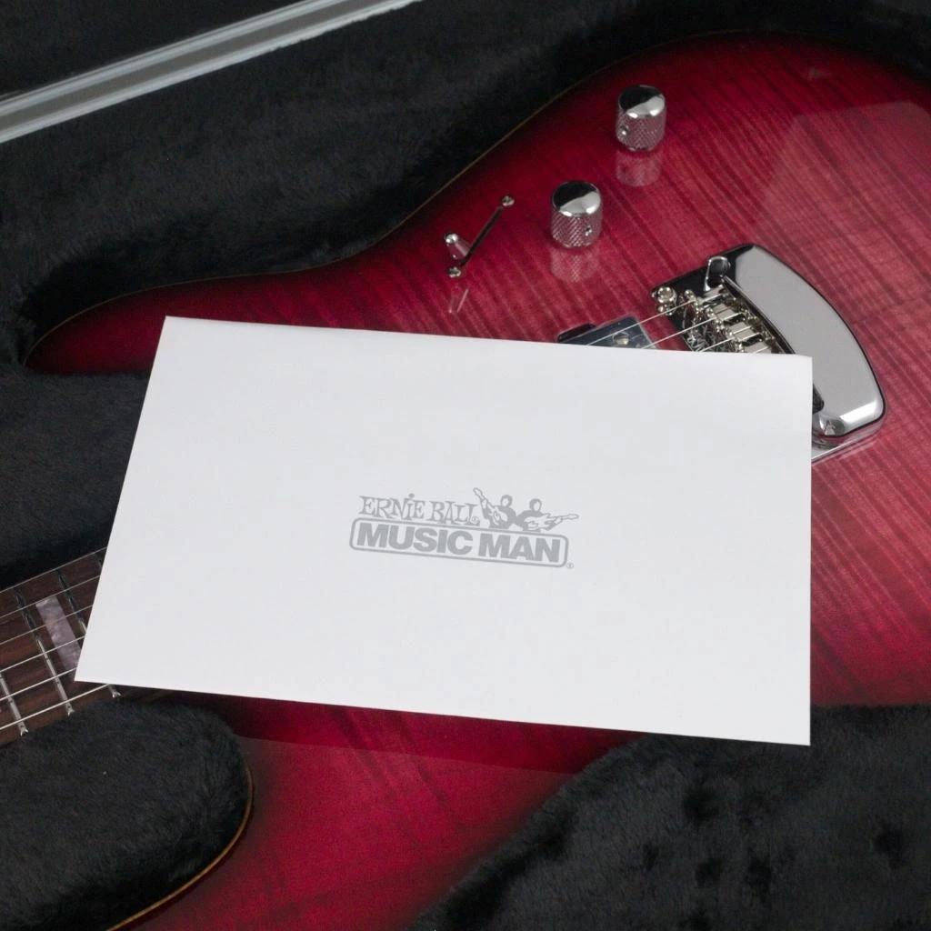 Electric Guitars Ernie Ball Music Man Ball Family Reserve - Sabre - Half Baked