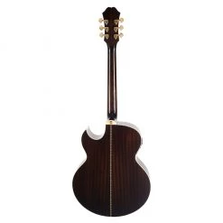 Acoustic Guitars Epiphone - Performer PR5E Fishman PreSysII - Natural