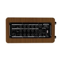Aroma - AG60A - Acoustic Guitar Acoustic Guitar Amps