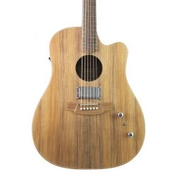 Cole Clark - Fat Lady CCFL2EC-BLBL-HU 211240766 - All Blackwood Acoustic Guitars