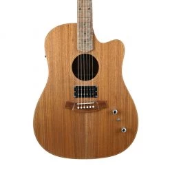 Cole Clark Fat Lady 2 - All Blackwood - Humbucker