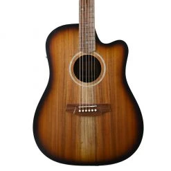 Cole Clark Fat Lady 2EC - All Blackwood Sunburst