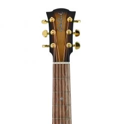 Cole Clark Fat Lady 2EC - All Blackwood Sunburst