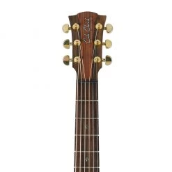 Cole Clark Fat Lady 2 Cutaway - Redwood Blackwood - She Oak