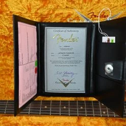 Fender Custom Shop'59 Esquire Custom - Journeyman Relic - Aged Inca Silver Electric Guitars