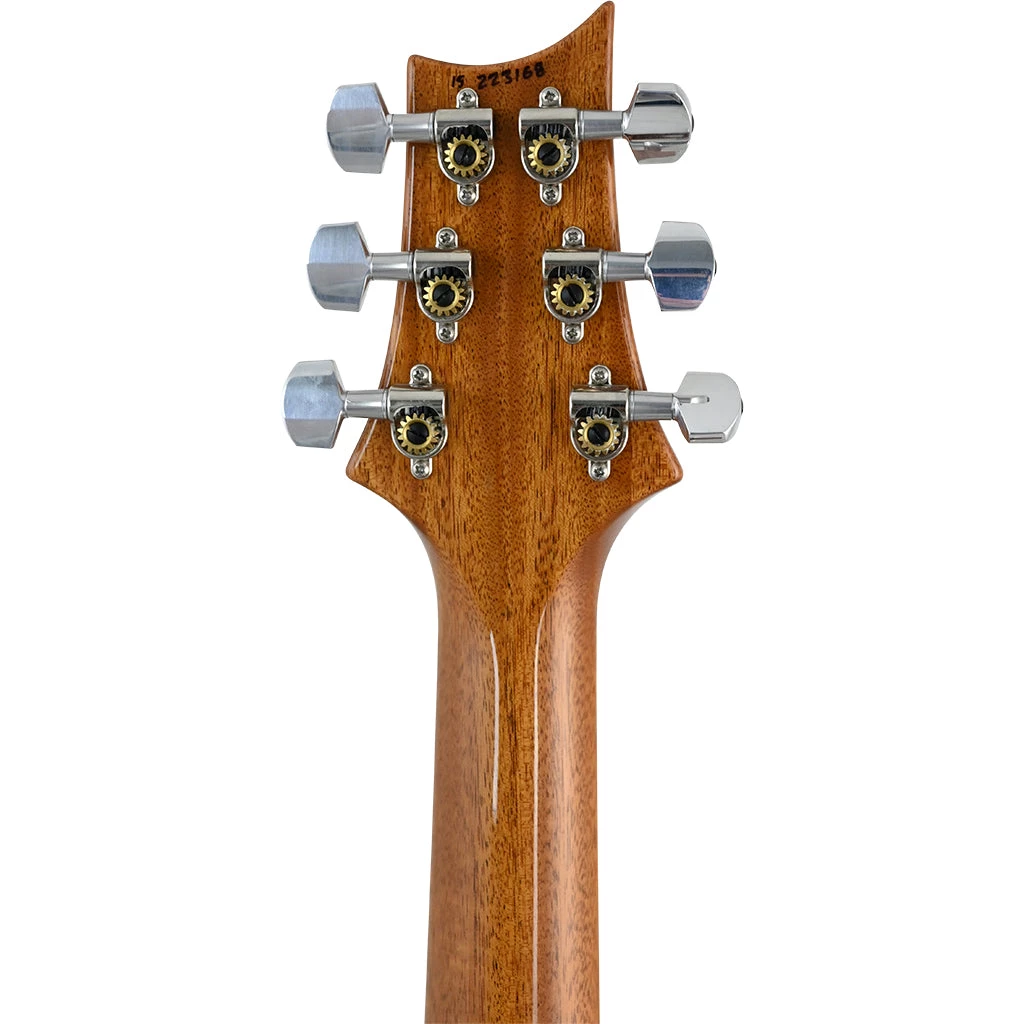 Electric Guitars PRS P245 Semi Hollow - Trampas Green