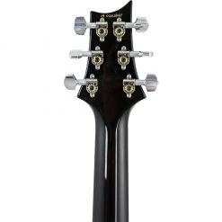 Electric Guitars PRS Custom 24 - Orange Tiger- Pattern Thin