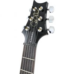 PRS S2 Custom 24 - Elephant Grey Electric Guitars