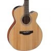 Acoustic Guitars Takamine GN20CE-NS NEX Acoustic Guitar