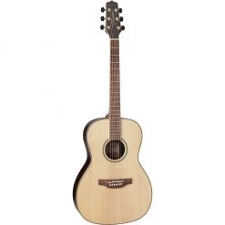 Takamine GY93-NAT New Yorker Acoustic Guitar Acoustic Guitars