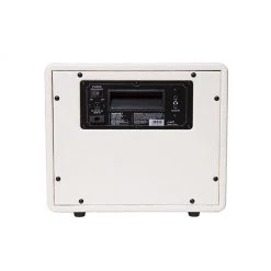 Mooer Hornet Modeling Amplifier Combo - White