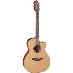 Acoustic Guitars Takamine P3MC Acoustic Guitar