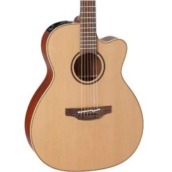 Acoustic Guitars Takamine P3MC Acoustic Guitar