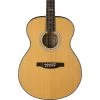 PRS SE Tonare T50E - Natural