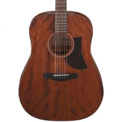 Ibanez AAD140 OPN Acoustic Guitar