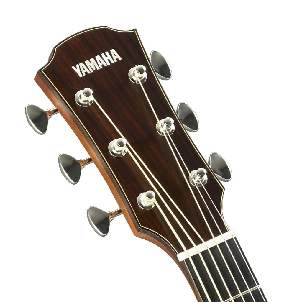 Acoustic Guitars Yamaha - Yamaha AC5M