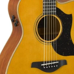 Acoustic Guitars Yamaha - Yamaha AC5M