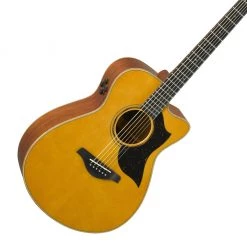 Acoustic Guitars Yamaha - Yamaha AC5M