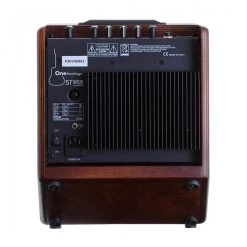 Acus One Forstrings 5T Simon - Wood 50W Acoustic Guitar Amp Acoustic Guitar Amps