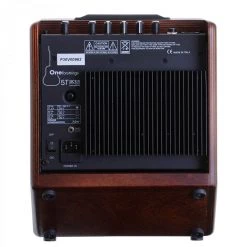 Acus One For Strings 5T Wood Simon Acoustic Guitar Amplifier Acoustic Guitar Amps